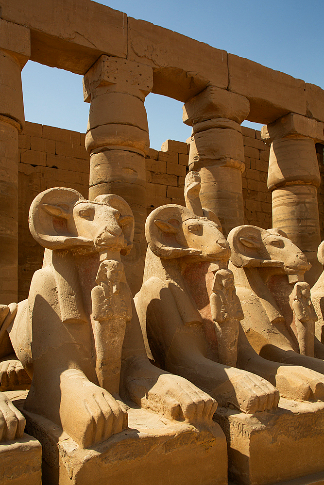 Ram-Headed Sphinxes, Great Court, Karnak Temple Complex, UNESCO World Heritage Site, Luxor, Egypt, North Africa, Africa