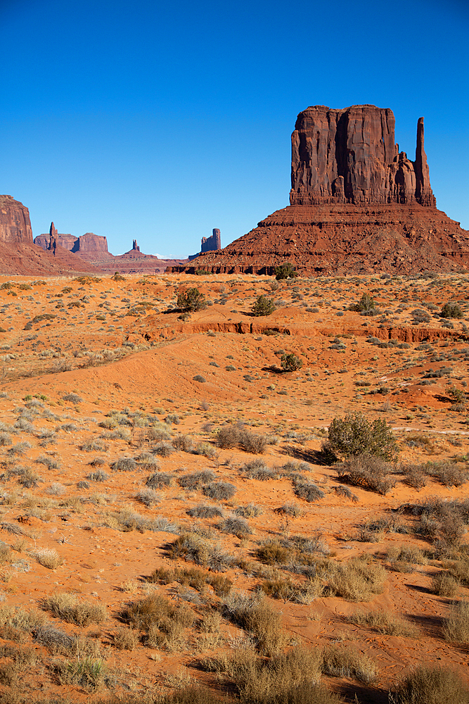 West Mitten Butte, Monument Valley Navajo Tribal Park, Utah, USA