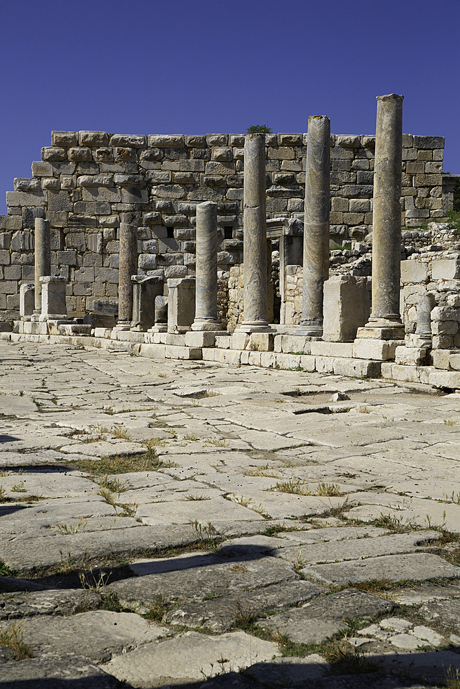 Marble Columns, Harbor Street, Patara Ancient City (origins back to 5,500 BC), Patara National Park, Antalya, Turkey
