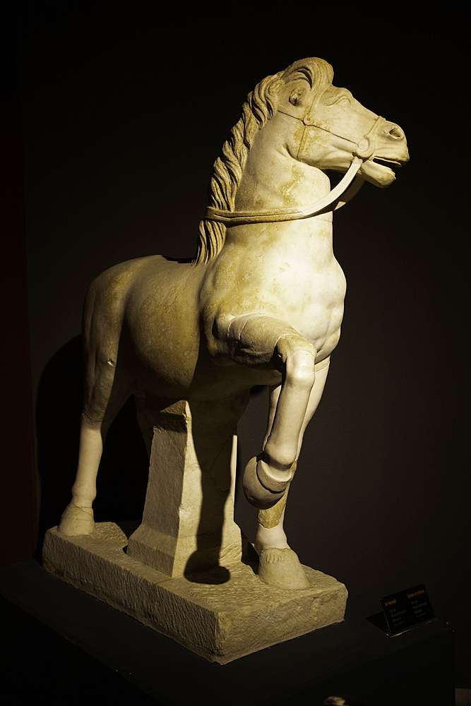 Marble Statue of Horse, Roman Period, Found in Perge, Antalya Archaeological Museum, Antalya, Turkey