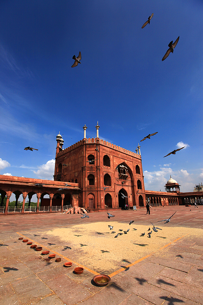 The Masjid-i-Jehan-Numa, commonly known as the Jama Masjid of Delhi, is one of the largest mosques in India