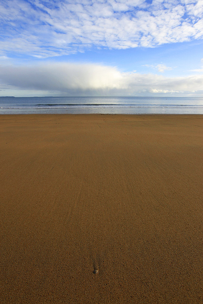 Barafundle Bay, Pembrokeshire, Wales, United Kingdom, Europe