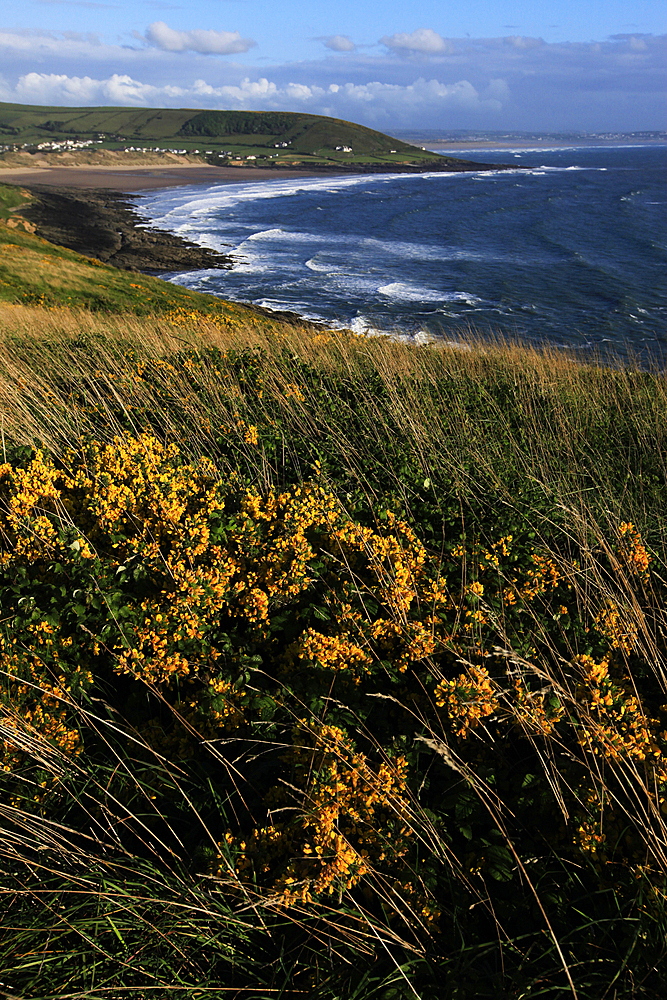 Looking across Croyde Bay from Baggy Point, north Devon, England, United Kingdom, Europe