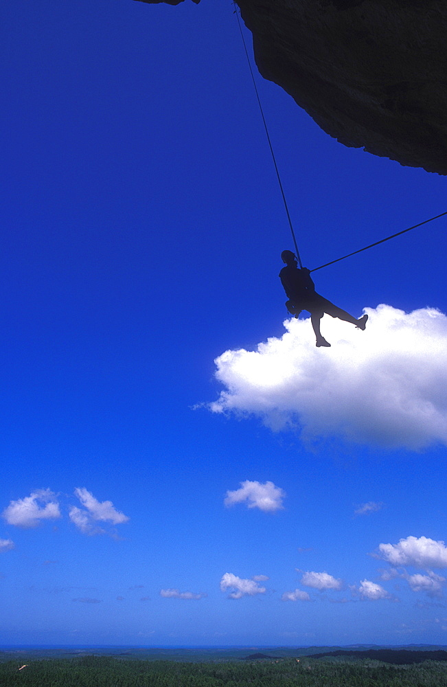 Abseiling above the jungle from the overhanging cliffs of La Costanera, Vinales, Pinar Del Rio Province, Cuba, West Indies, Central America