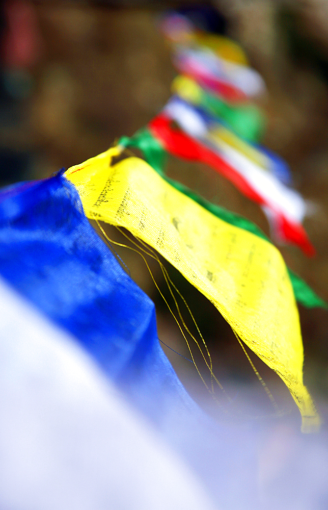 Buddhist prayer flags, Khumbu, Nepal, Asia