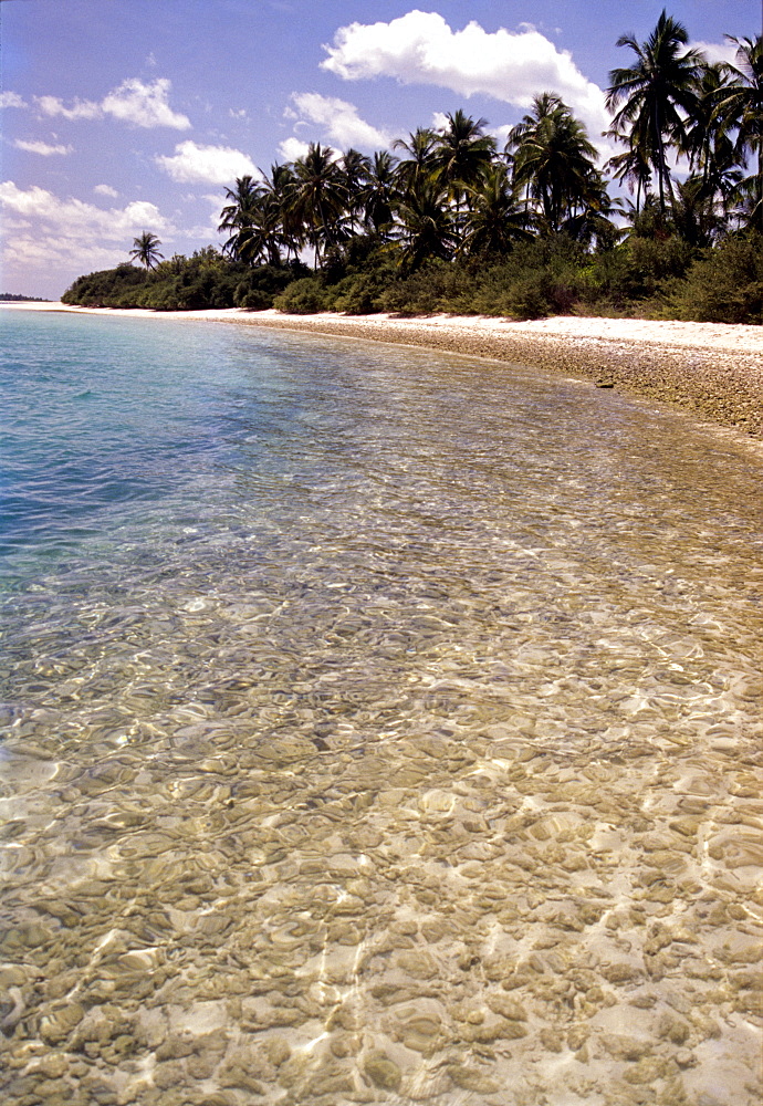 Clear sea, Bangaram, Lakshadweep Islands, India, Indian Ocean, Asia