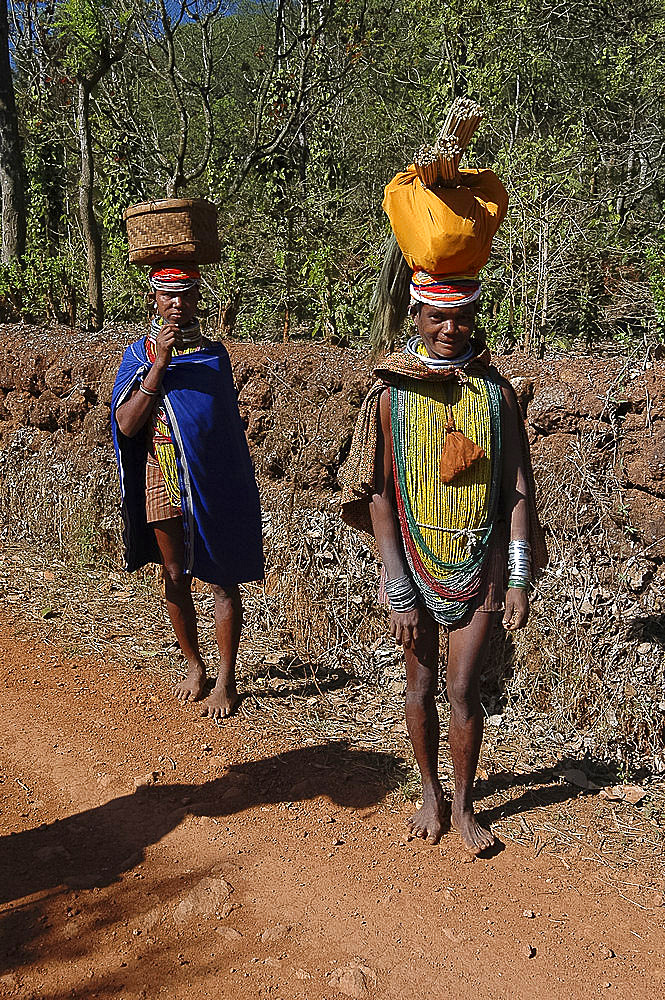 Bonda tribeswomen in traditional dress with beads, earrings and necklaces denoting their tribe, carrying basket and brushes to market, Onukudelli, Orissa, India, Asia