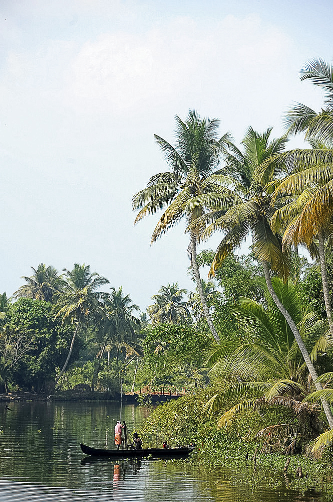 Kerala boatman ferrying local villagers across the backwaters in wooden dugout canoe, Kumarakom, Kerala, India, Asia