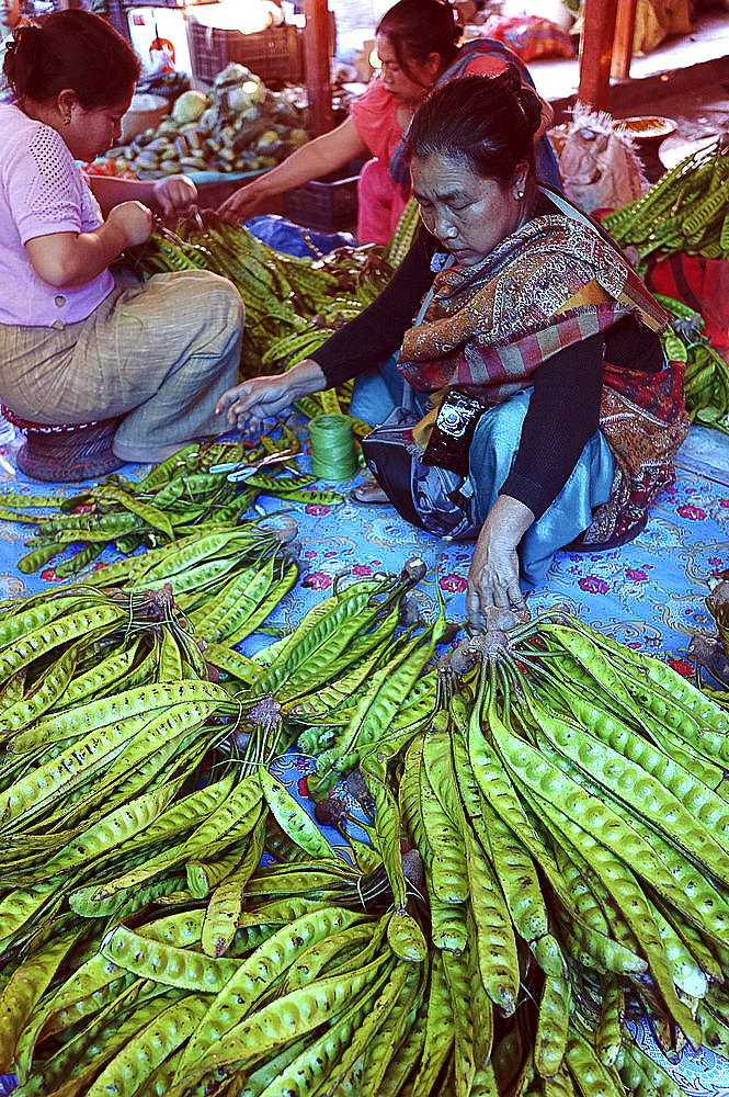 Woman selling Myanmar Tree Beans in Ima women's market, Imphal, Manipur, India, Asia