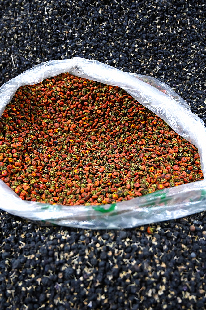 Goji berries, black and red, for sale in Shazhou street market, Dunhuang, Gansu, China, Asia