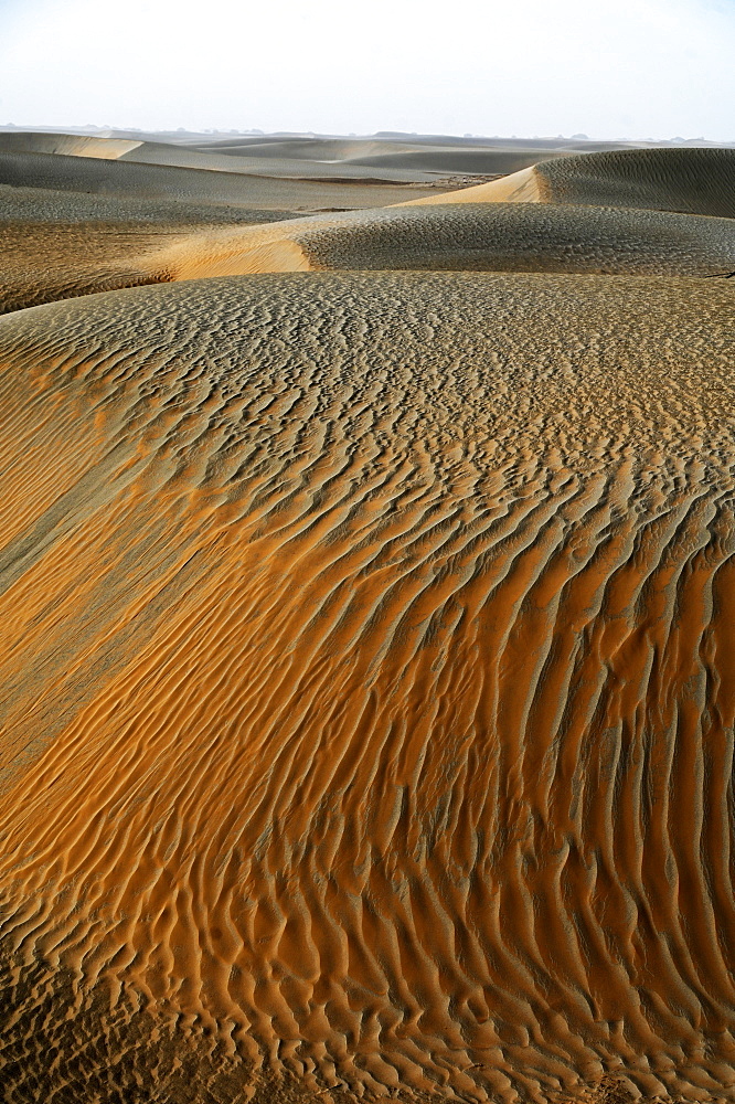 Wind blown sands in the Taklamakan desert, Hotan, Xinjiang Uyghur region, China, Asia