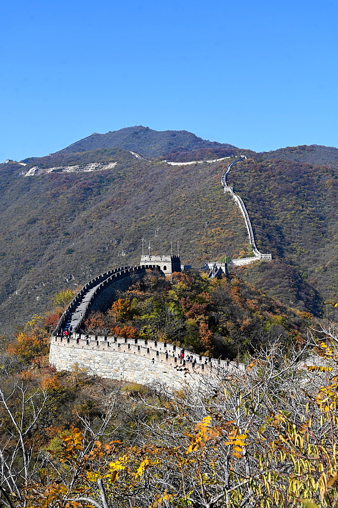 Great Wall of China, Mutianyu section, looking west towards Jiankou, UNESCO World Heritage Site, Beijing, China, Asia