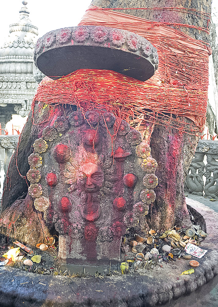 Temple shrine to Shakti, the sun god, daubed by pilgrims with red powder, tree tied with numerous holy Hindu strings, and offerings, Sri Mahabhairab Mandir, Tezpur, Assam, India, Asia