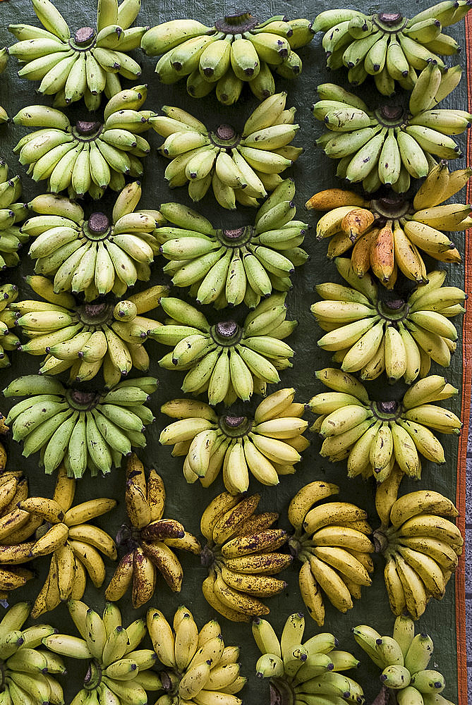 Bananas for sale on a market stall, Miri, Sarawak, Malaysian Borneo, Malaysia, Southeast Asia, Asia