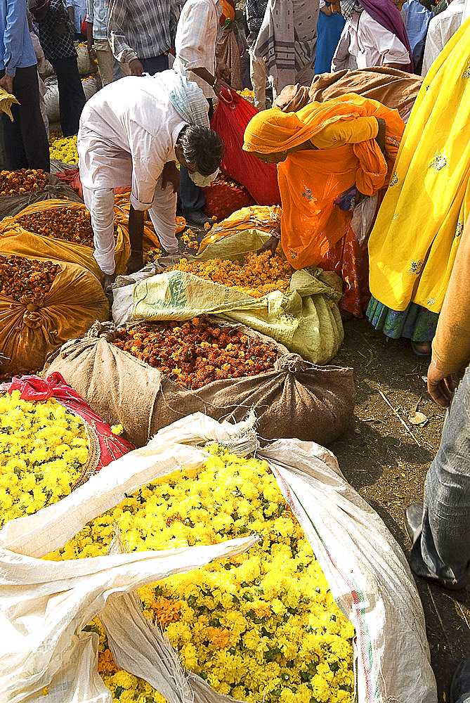 Woman buying marigolds tied up in cloth and sacking, flower market, Bari Chaupar, Jaipur, Rajasthan, India, Asia