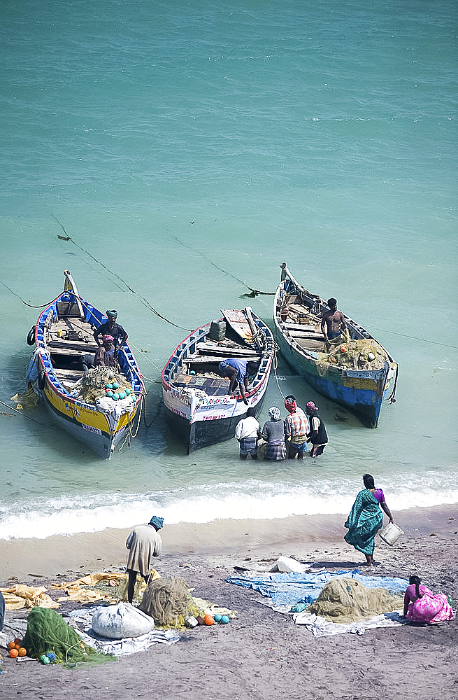 Unloading the morning's catch of fish, Dhanushkodi, Tamil Nadu, India, Asia