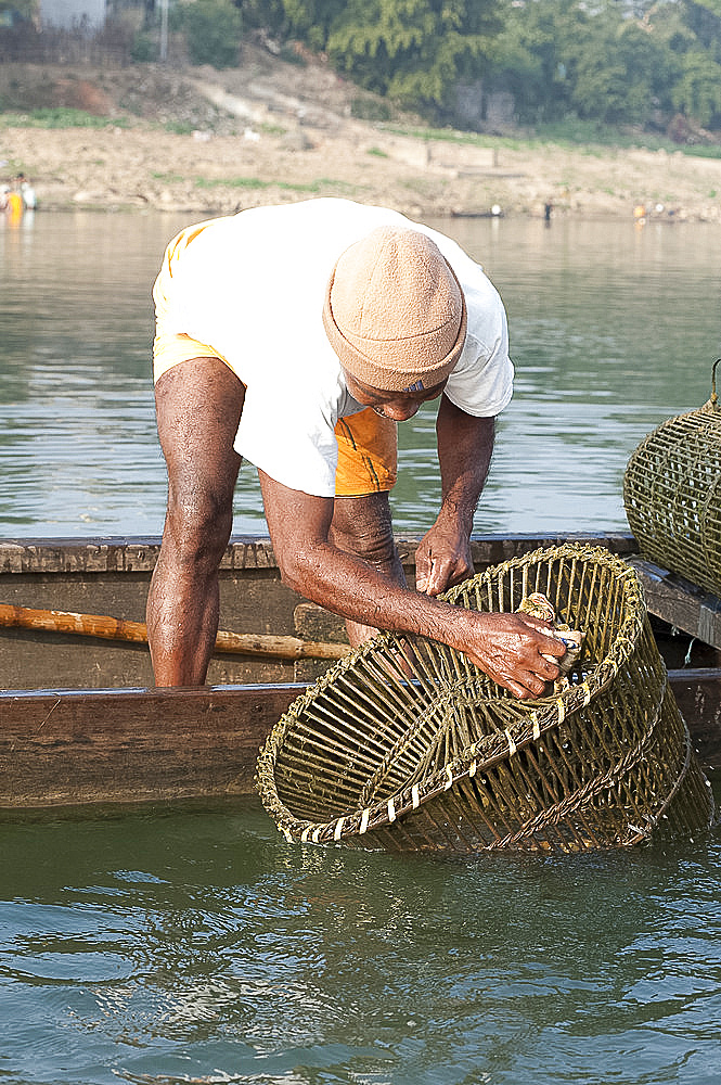 Fisherman in wooden boat, washing his coir and bamboo fishing pots, River Mahanadi, Orissa, India, Asia