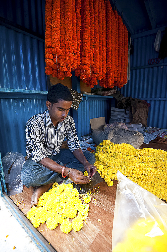 Mala maker (garland maker) at work with orange and yellow marigolds in morning flower market, Howrah, Kolkata, West Bengal, India, Asia