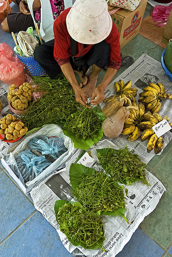 Woman sorting jungle fern for sale in vegetable market, Serian, Sarawak, Malaysian Borneo, Malaysia, Southeast Asia, Asia