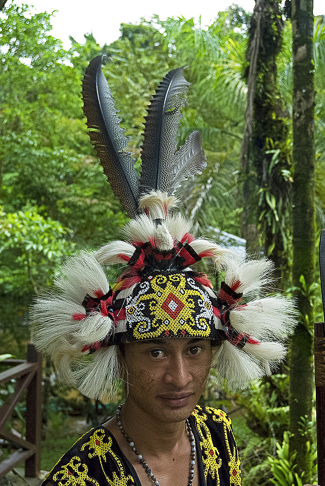 Iban tribesman wearing traditional tribal headdress of hornbill feathers, monkey hair and traditional beadwork, Mulu, Sarawak, Malaysian Borneo, Malaysia, Southeast Asia, Asia