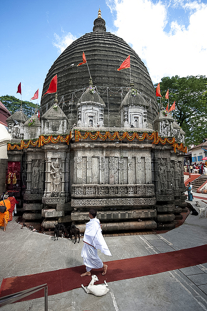 Hindu pilgrim performing puja by circumambulating the Kamakhya temple, garlanded for Durga Puja festival, Guwahati, Assam, India, Asia