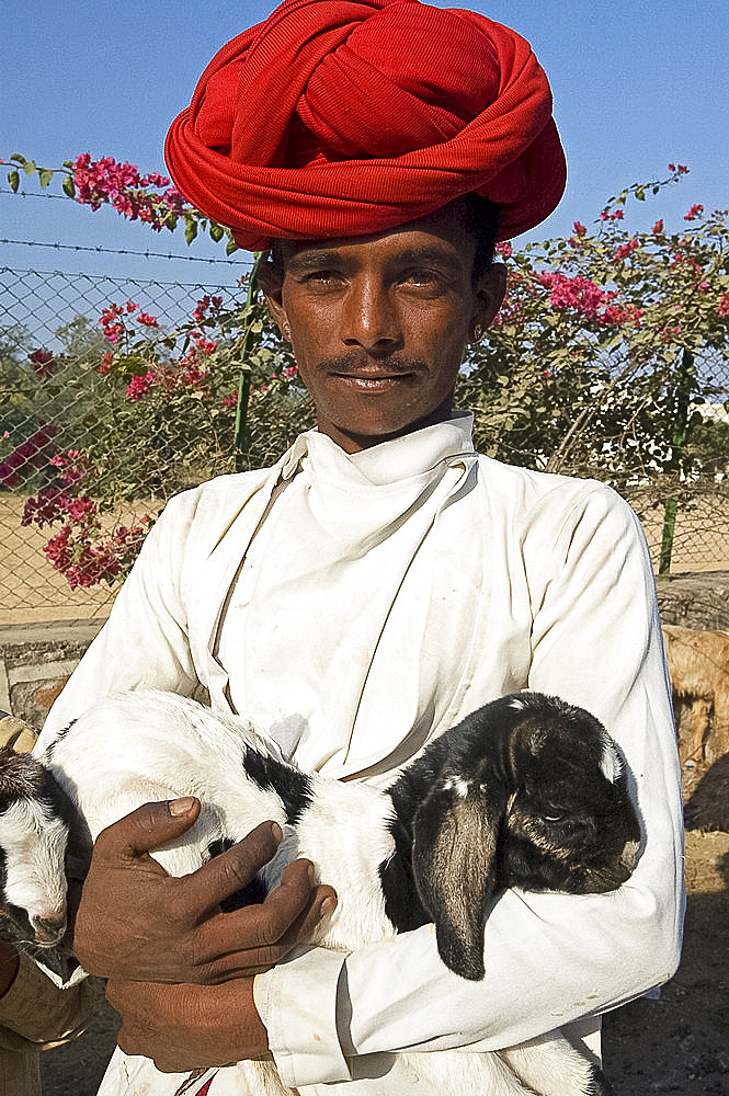 Bharwadi goatherd in red turban and typical costume holding kid, Poshina district, Eastern Gujarat, India, Asia