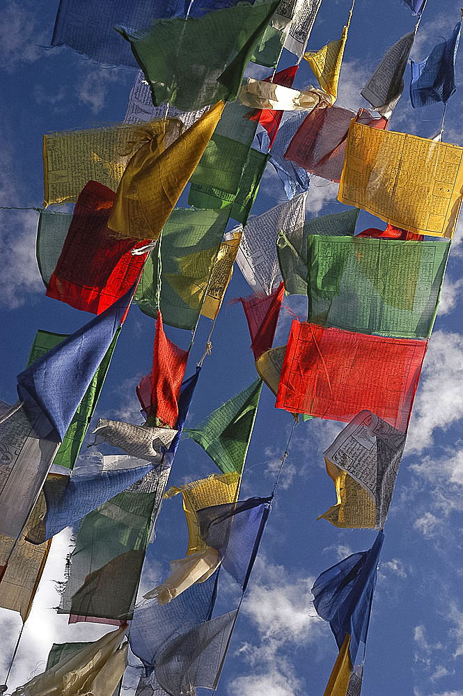 Budhhist prayer flags fluttering in the wind, Darjeeling, West Bengal, India, Asia