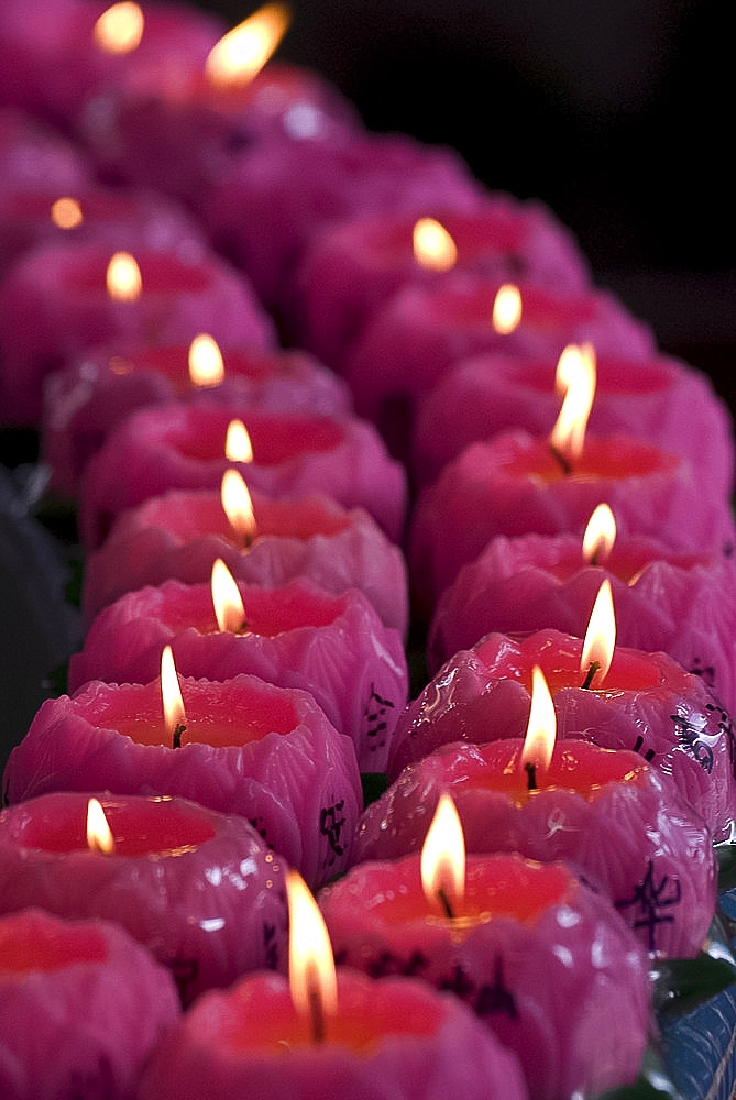 Lotus candles placed by devotees in Kek Lok Si Buddhist temple, Air Itam, Georgetown, Penang, Malaysia, Southeast Asia, Asia