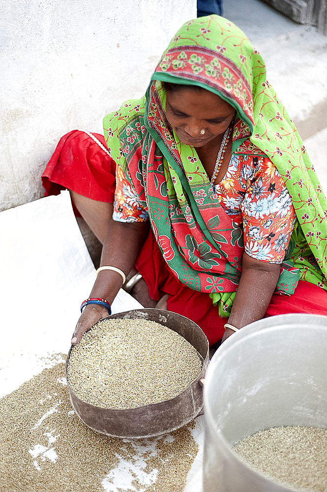 Young village woman sifting millet, Nirona village, Kachchh, Gujarat, India, Asia