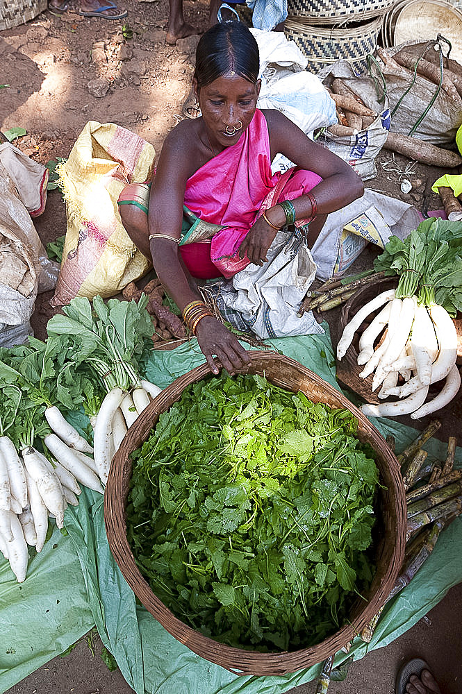 Mali tribeswoman in pink sari selling fresh coriander and white radish in Mali weekly tribal market, Guneipada, Orissa (Odisha), India, Asia