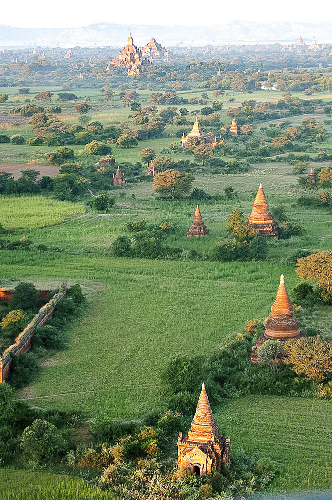 Bagan terracotta temples, Htilominlo temple in the distance, in morning sunshine, seen from the air, Bagan (Pagan), Mandalay Division, Myanmar (Burma), Asia