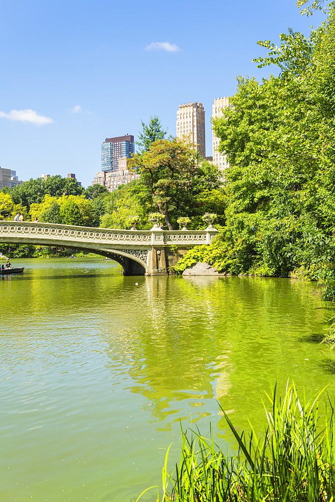 Bow Bridge over The Lake, Central Park, Manhattan, New York City, New York, United States of America, North America