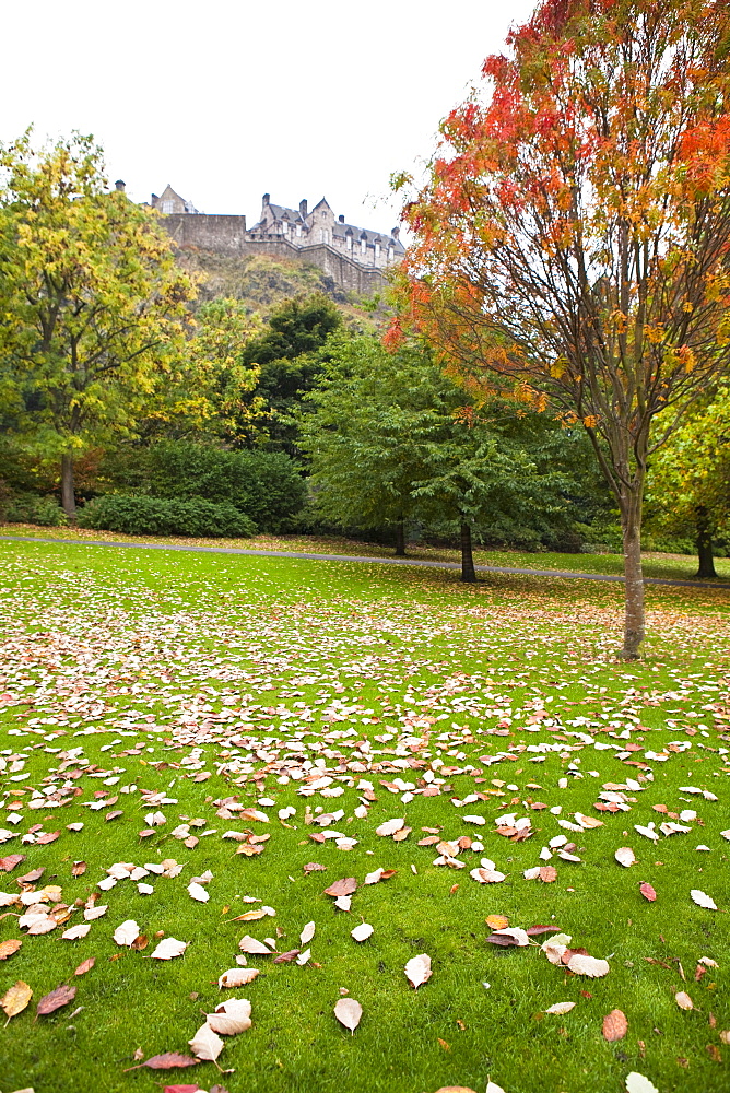 Princes Street Gardens and Edinburgh Castle, Edinburgh, Lothian, Scotland, United Kingdom, Europe