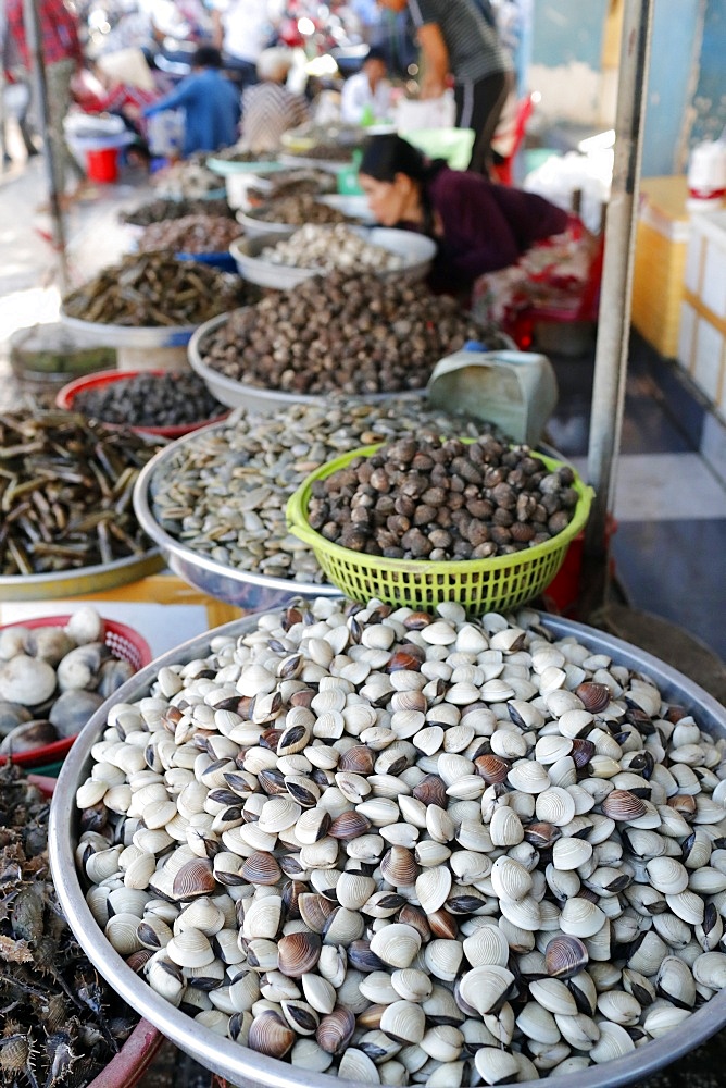 Fresh clams for sale in fish market, Ha Tien, Vietnam, Indochina, Southeast Asia, Asia