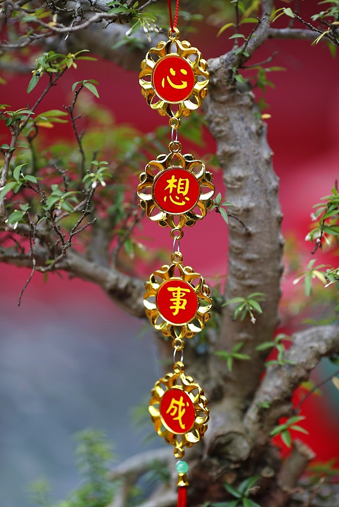 Chinese New Year celebration decoration, Ho Chi Minh City, Vietnam, Indochina, Southeast Asia, Asia