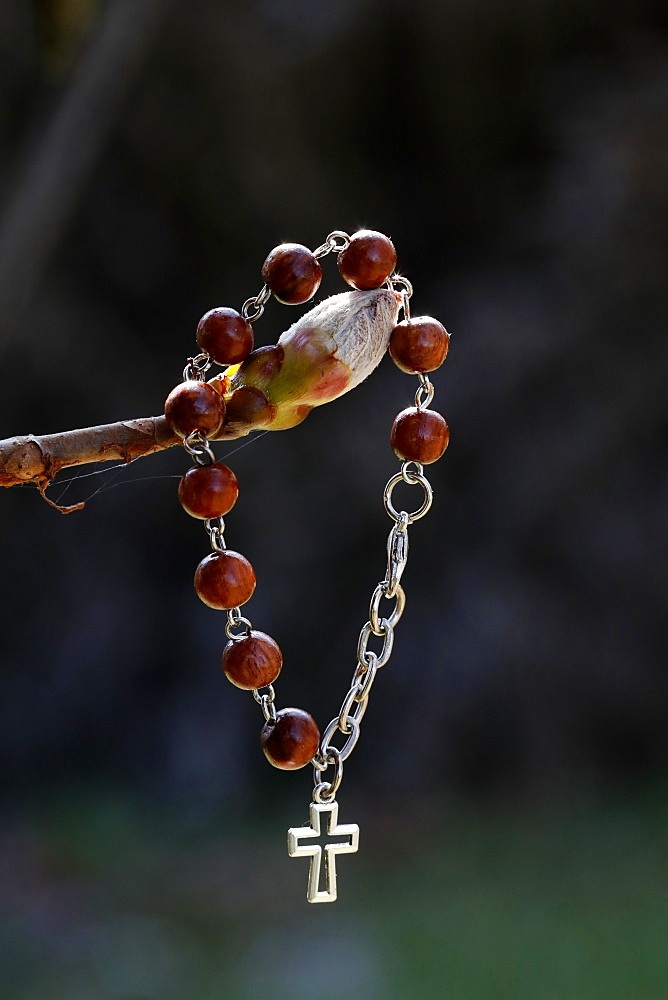 Bracelet with a cross on a chestnut bud, France, Europe