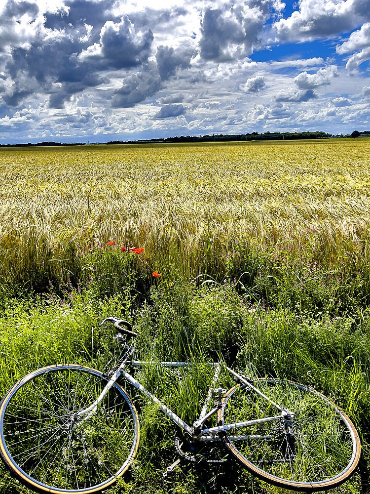 Bicycle laid by a field under a cloudy sky in Eure, Normandy, France, Europe