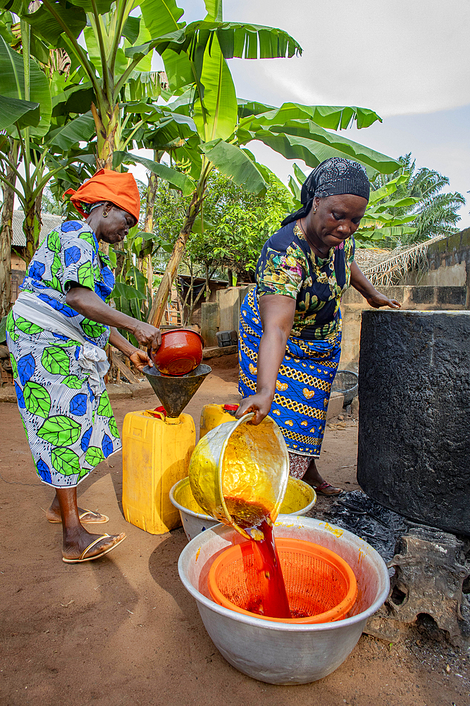 Villagers making palm oil in Dokoue, Benin, West Africa, Africa