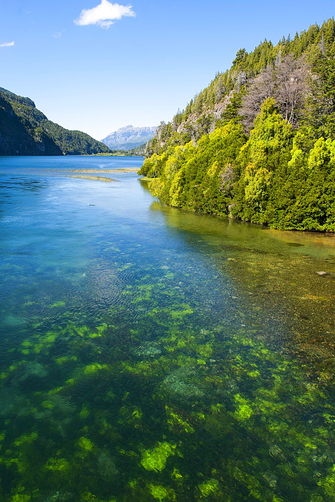 Crystal clear water in the Los Alerces National Park, Chubut, Patagonia, Argentina, South America