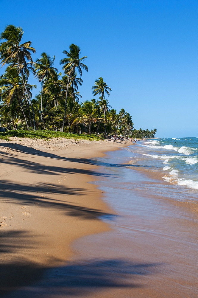 Tropical beach in Praia do Forte, Bahia, Brazil, South America