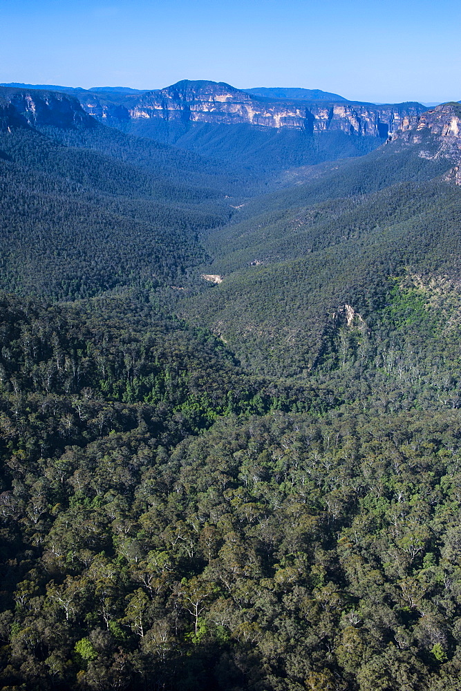 The rocky cliffs of the Blue Mountains, New South Wales, Australia, Pacific 