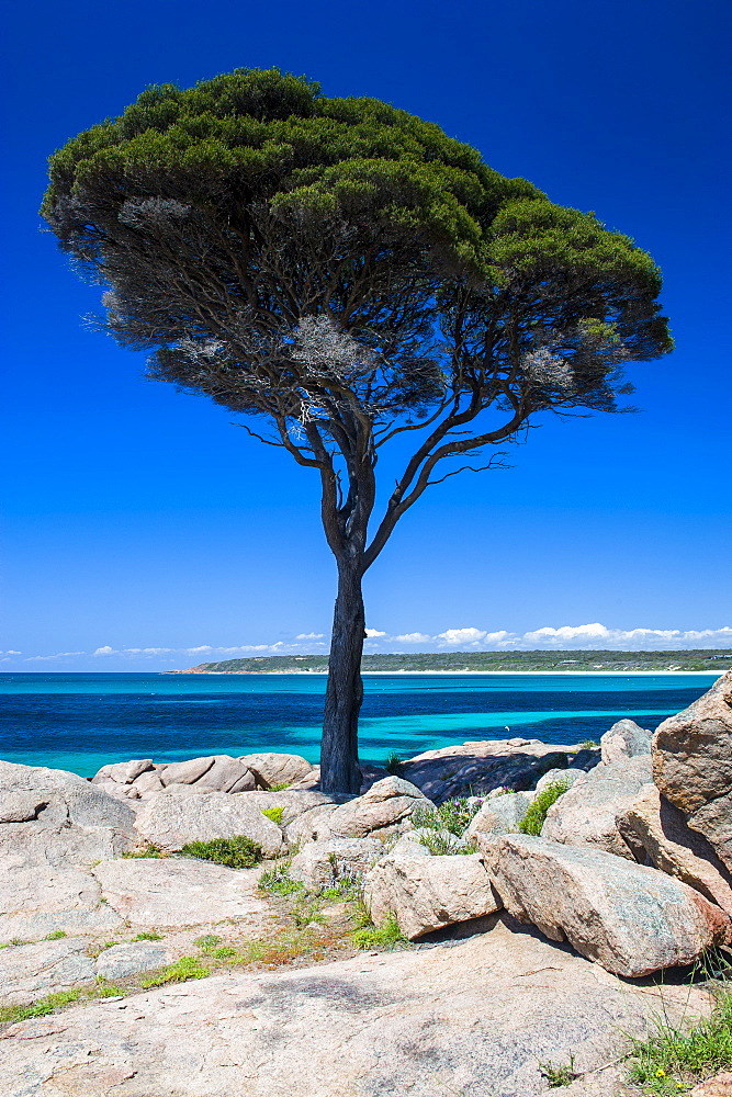 Rocky cliffs on Shelley Cove near Eagle Bay, Western Australia, Australia, Pacific