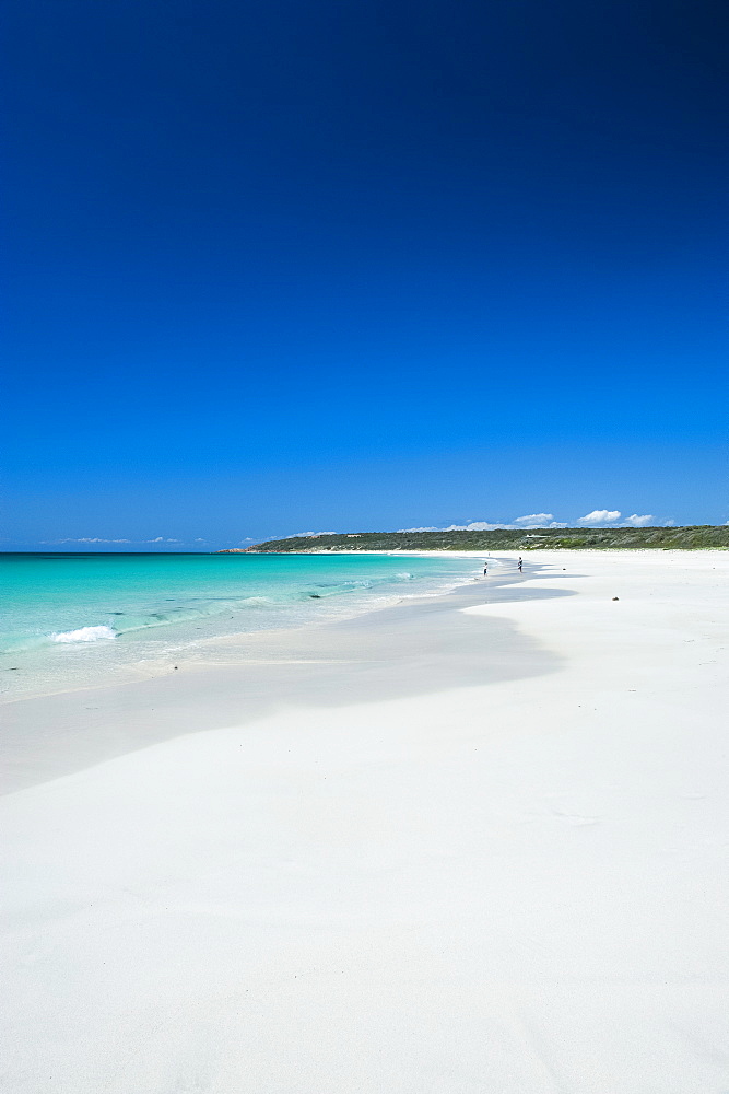 White sand beach and turquoise waters, Shelley Cove near Eagle Bay, Western Australia, Australia, Pacific