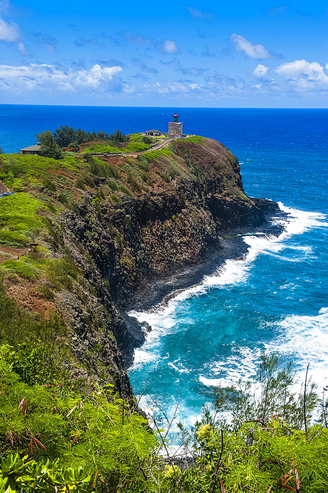 Kilauea Point National Wildlife Refuge on the island of Kauai, Hawaii, United States of America, Pacific