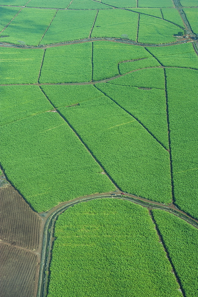 Aerial of Maui, Hawaii, United States of America, Pacific