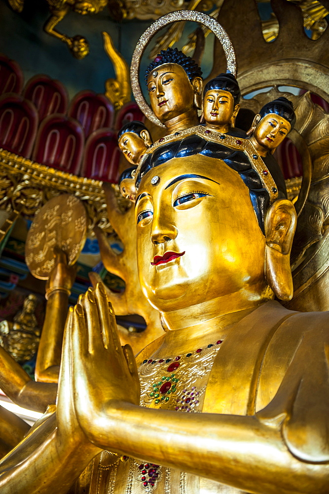 Golden Buddha in the Guandu Temple, Guandu, Taipei, Taiwan, Asia