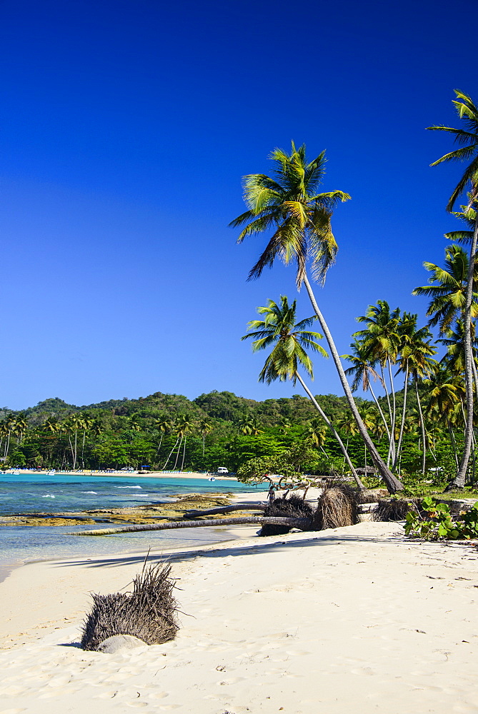 Playa Rincon, Las Galeras, Semana peninsula, Dominican Republic, West Indies, Caribbean, Central America