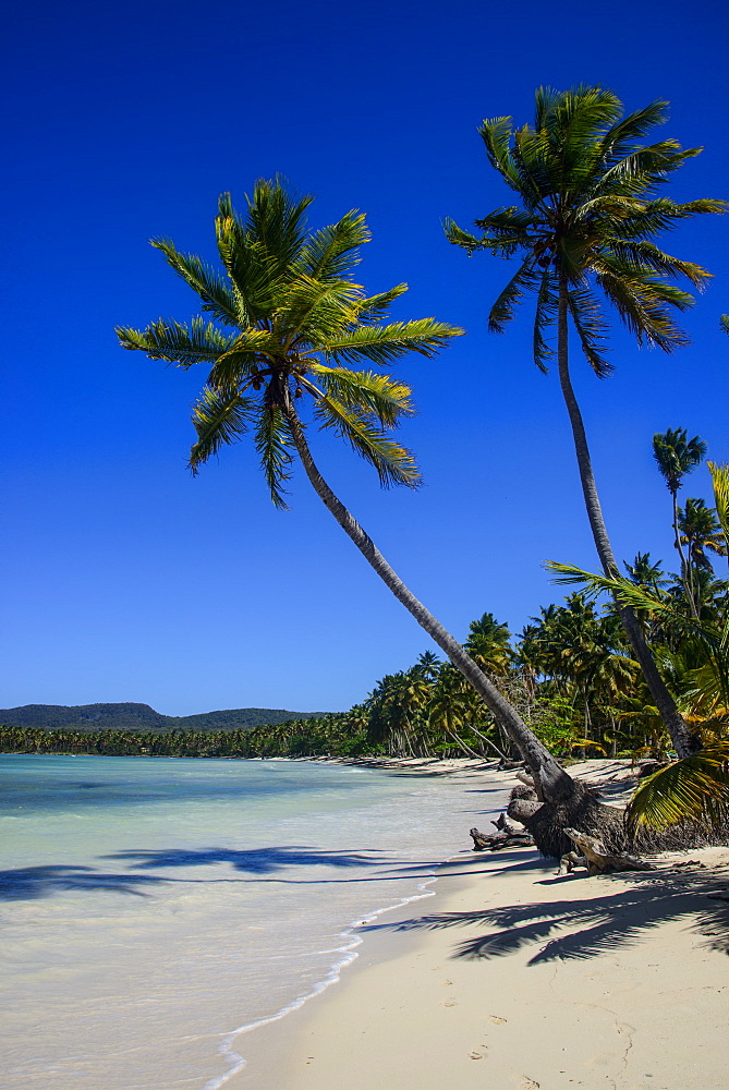 Playa Grande, Las Galeras, Semana peninsula, Dominican Republic, West Indies, Caribbean, Central America