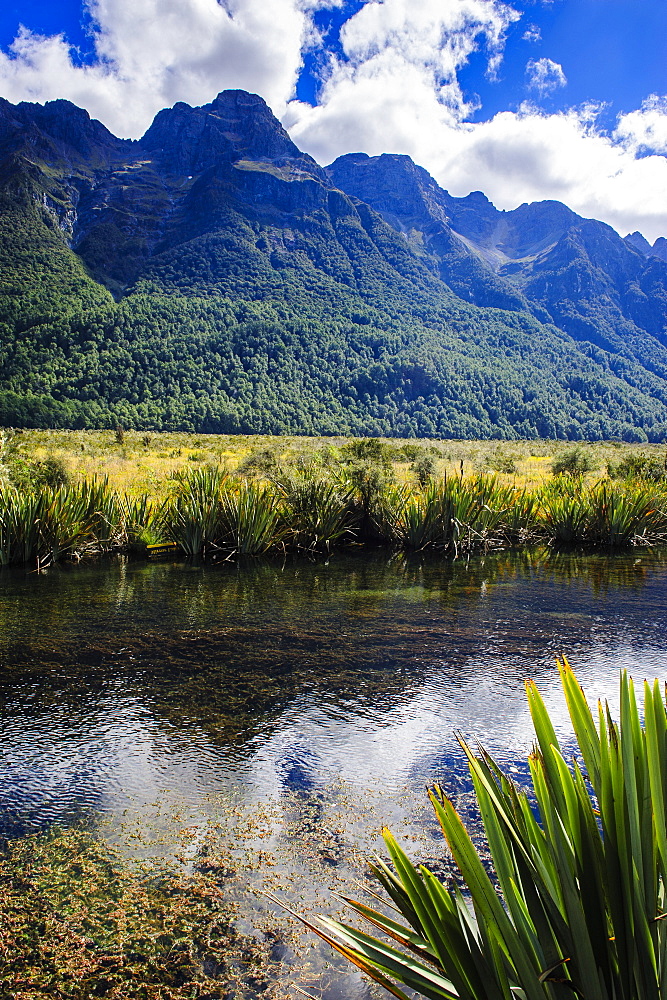 Mountains reflecting in the Mirror Lakes, Eglinton Valley, South Island, New Zealand, Pacific