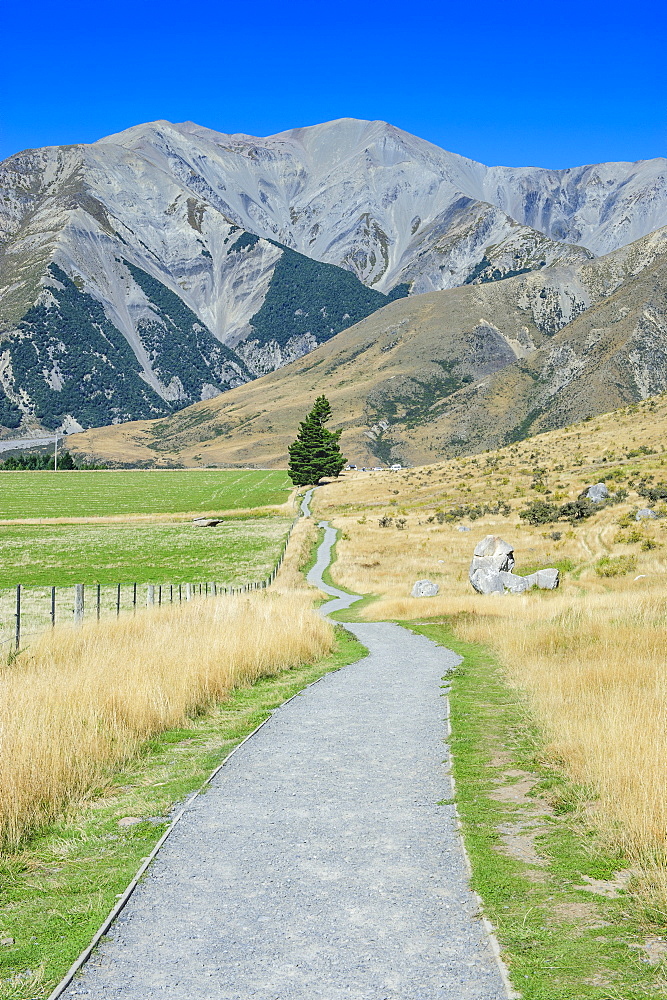 Footpath leading to Craigieburn Forest Park from Castle Hill, Canterbury, South Island, New Zealand, Pacific